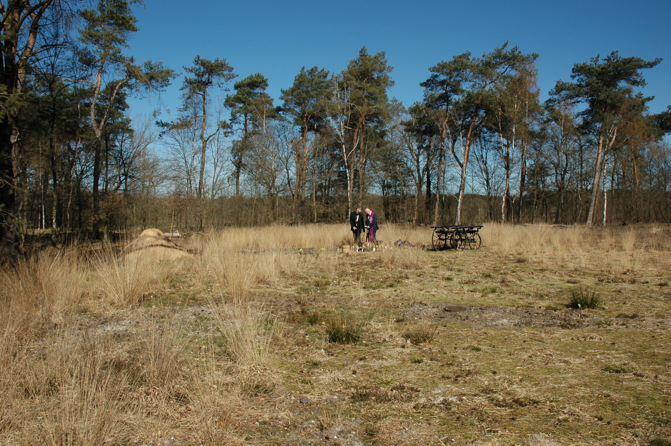 Natuurbegraafplaats Schoorsveld