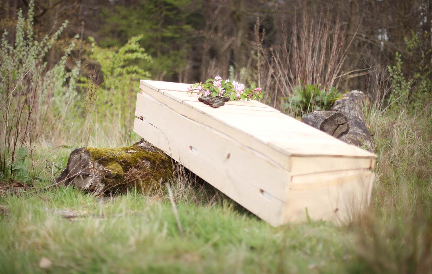 Duurzame keuzes maken bij een uitvaart