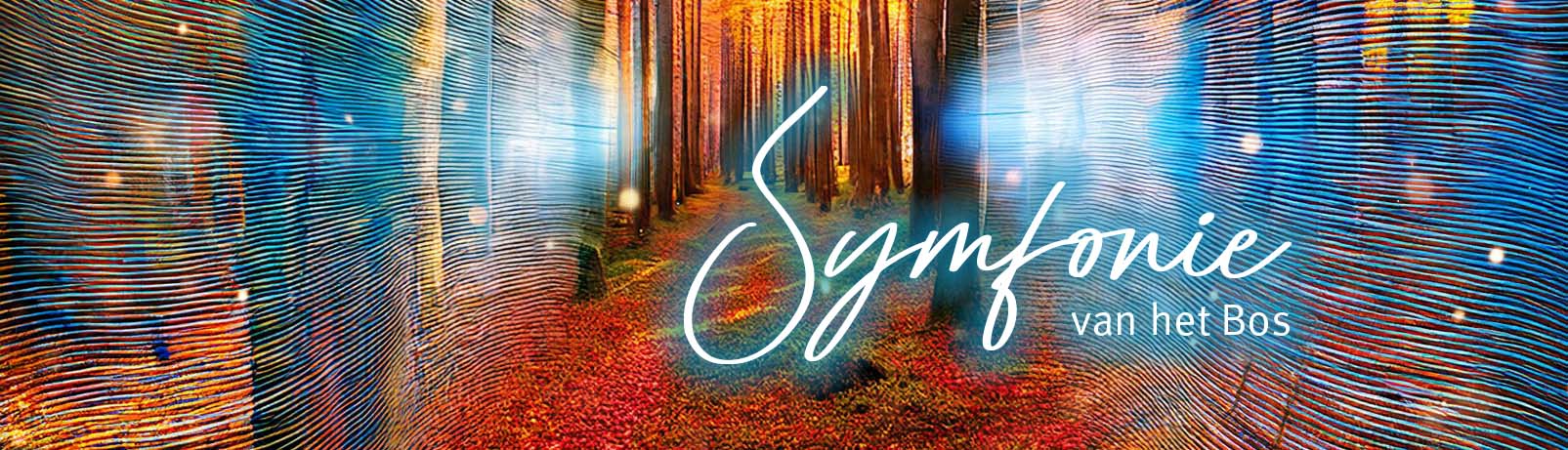 Van der Stappen_uitvaartverzorging_Herinneringsbijeenkomst_november 2026_Symfonie van het Bos